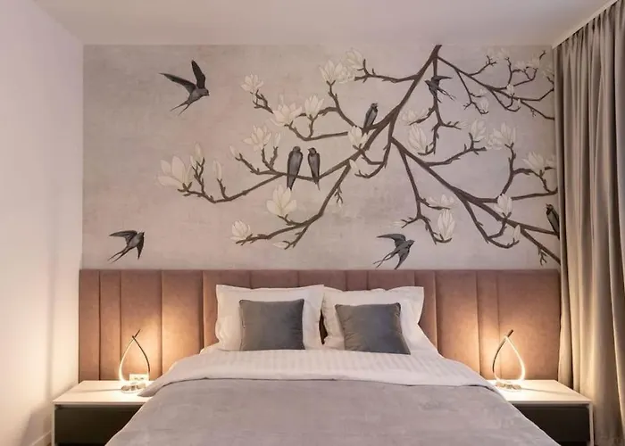 Joy Nord One N2-66 Тимишоара